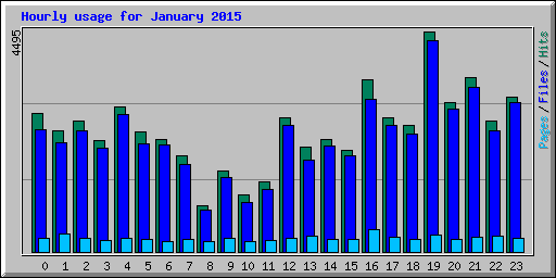 Hourly usage for January 2015