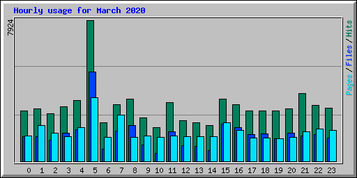 Hourly usage for March 2020