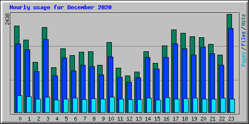Hourly usage for December 2020