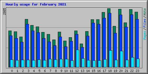 Hourly usage for February 2021
